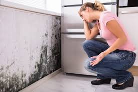 Best Residential Mold Inspection & Testing in USA